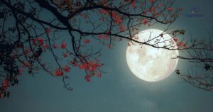 Moon Captions For Instagram