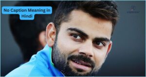 No Caption Meaning in Hindi