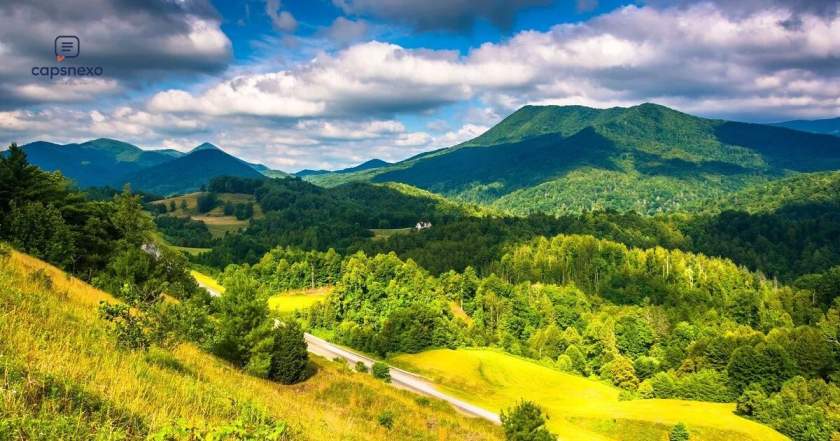 🌿 Nature Views Captions For Instagram
