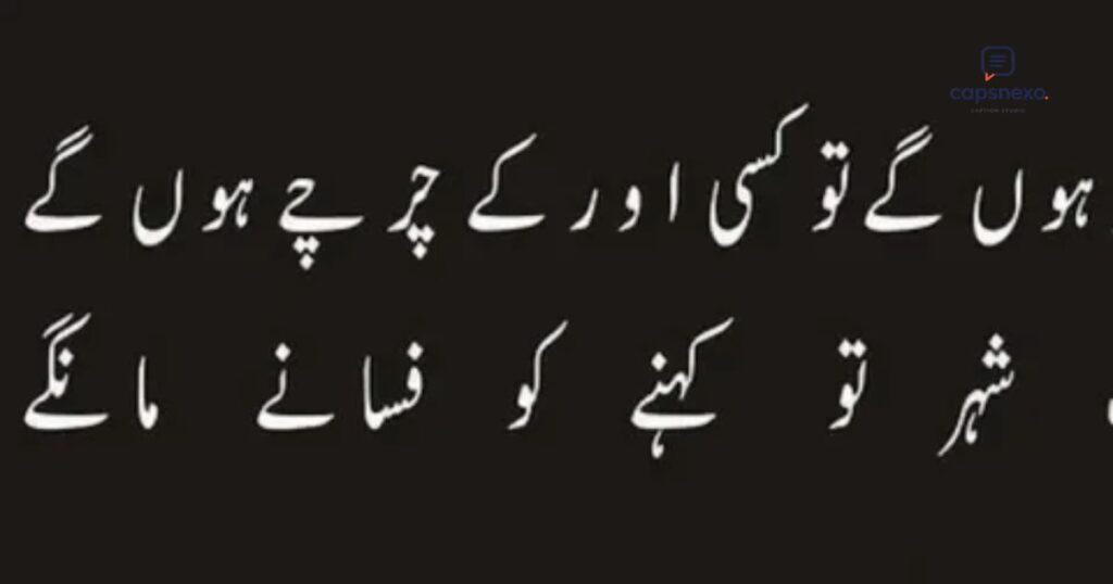 Punjabi Lines For Instagram Bio In Punjabi